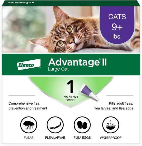 Best flea treatment for cats and home
