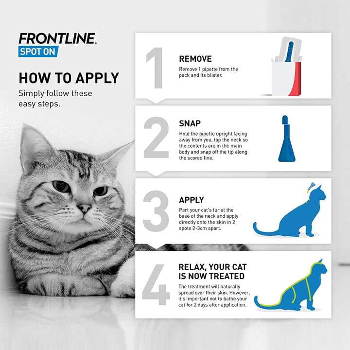 Best flea treatment for nursing cats