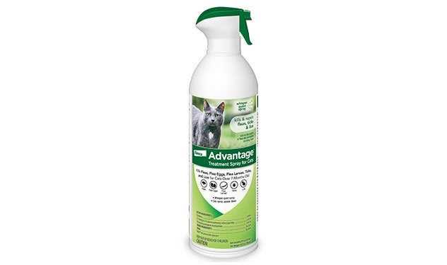 Best flea treatment for outdoor cats