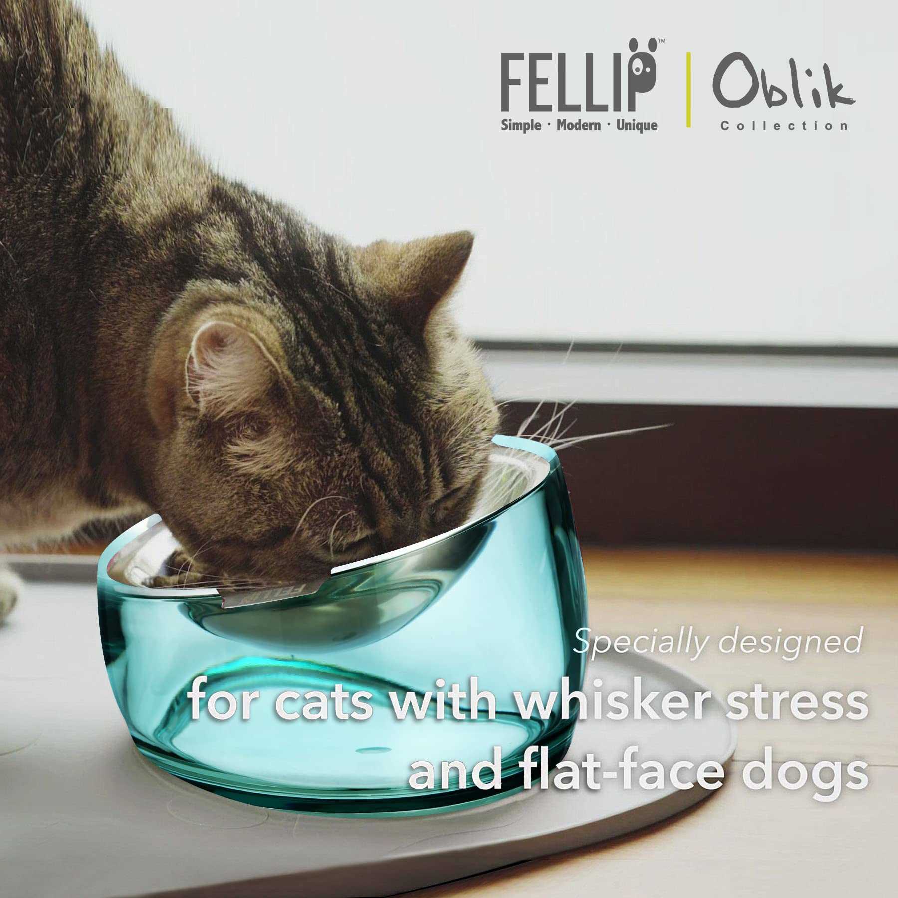 Best food dish for cats