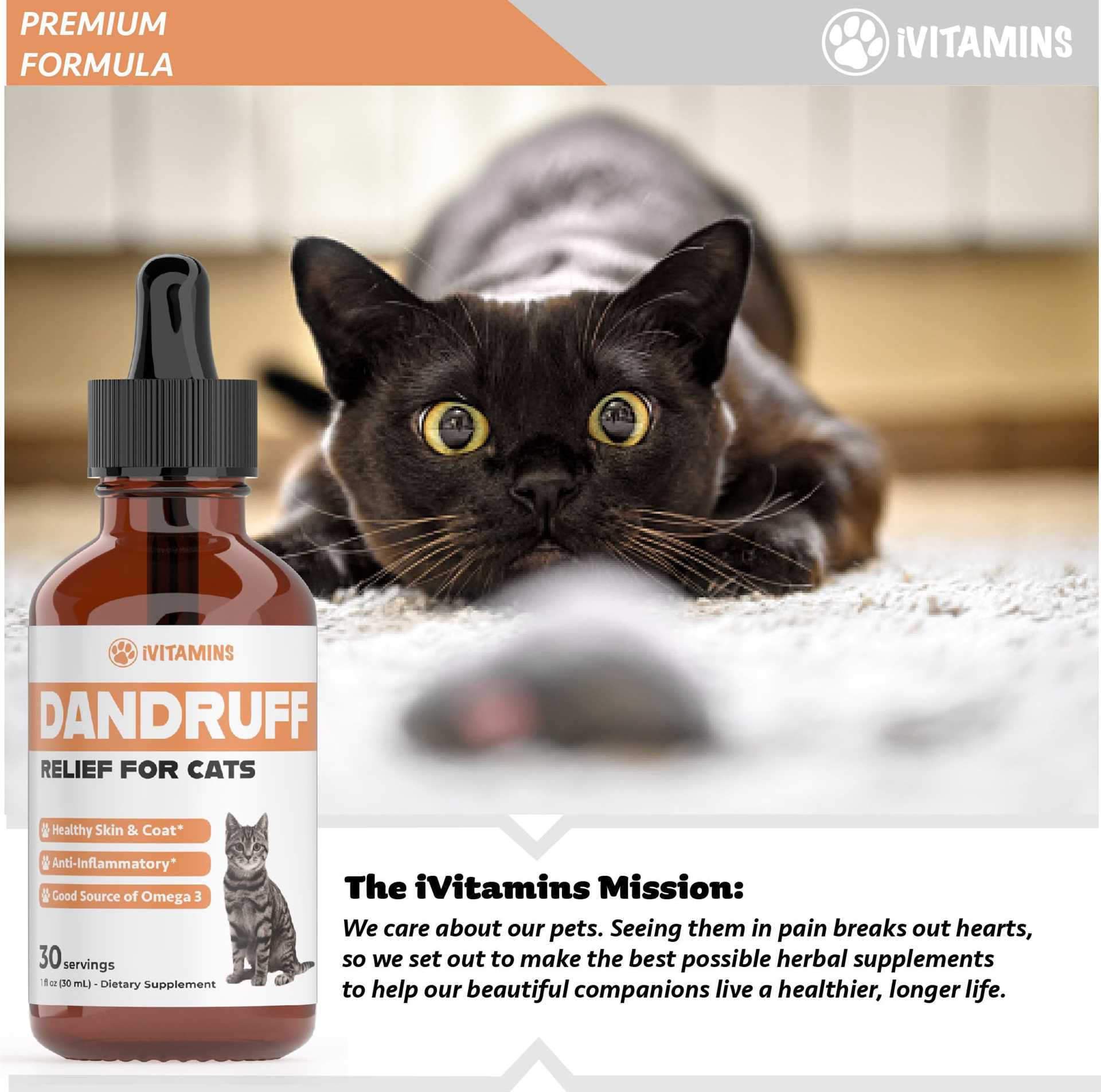 Best food for cats with dandruff