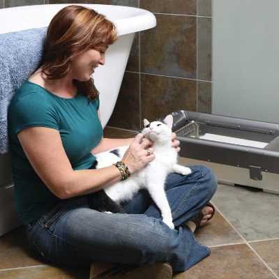 Can a Pregnant Woman Clean Cat Litter?