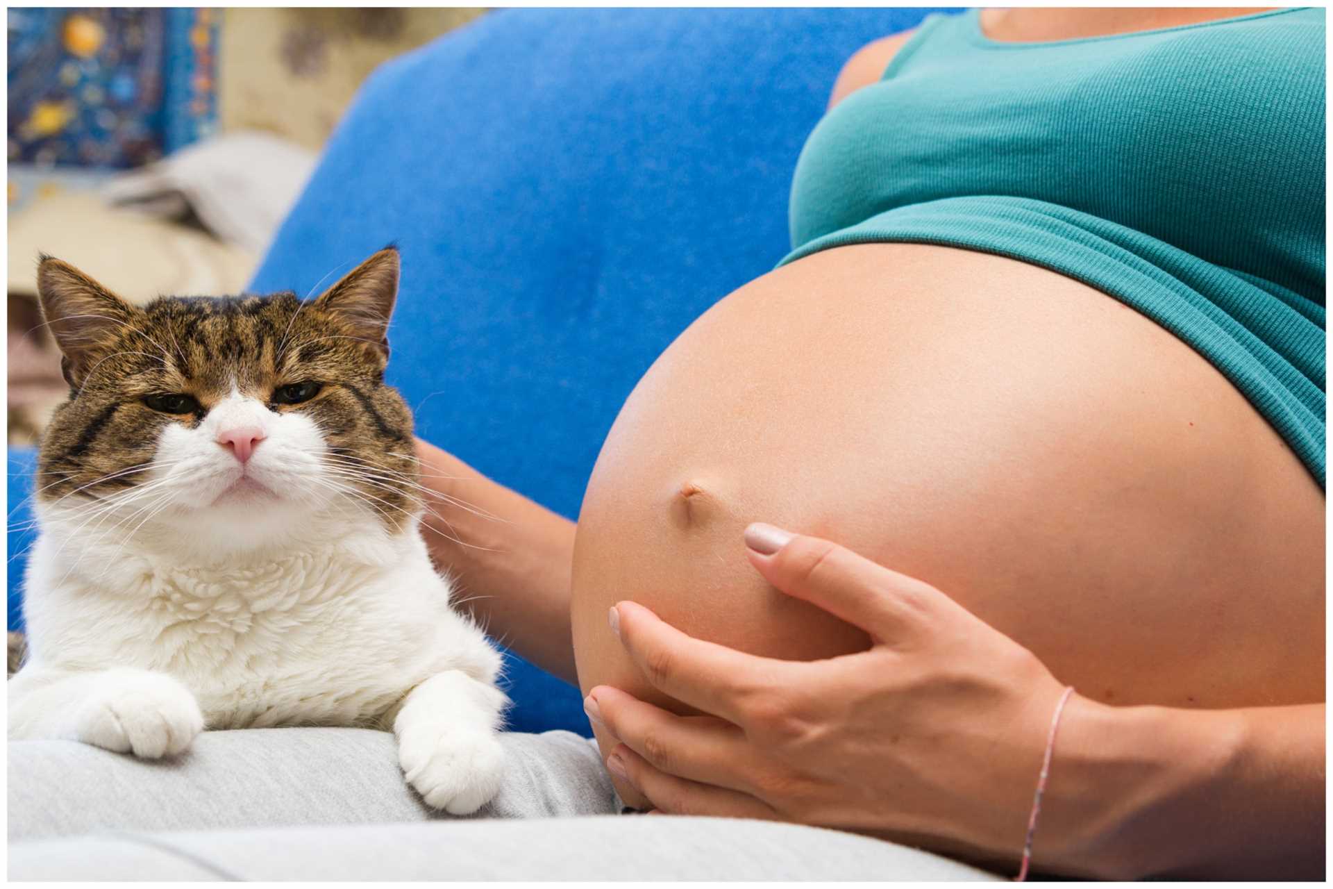 Managing Toxoplasmosis Risks During Pregnancy