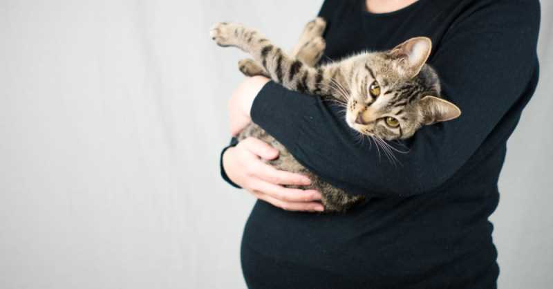 Regular Veterinary Visits