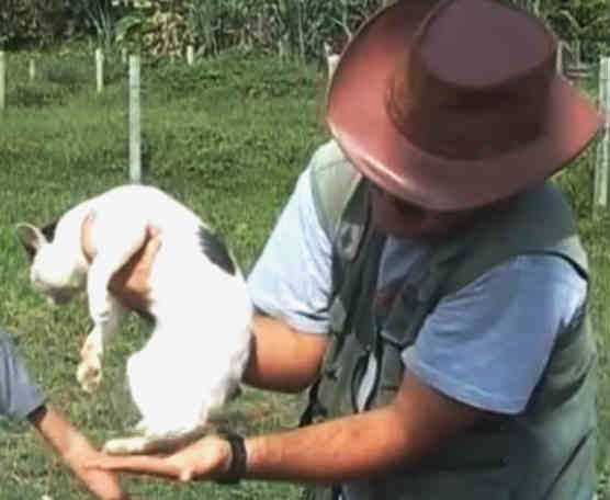 Implications of Cross-Species Mating Myths