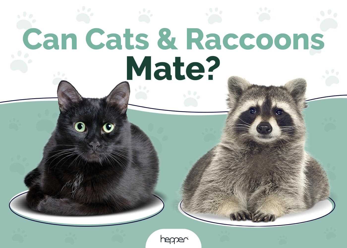 Reproductive Compatibility