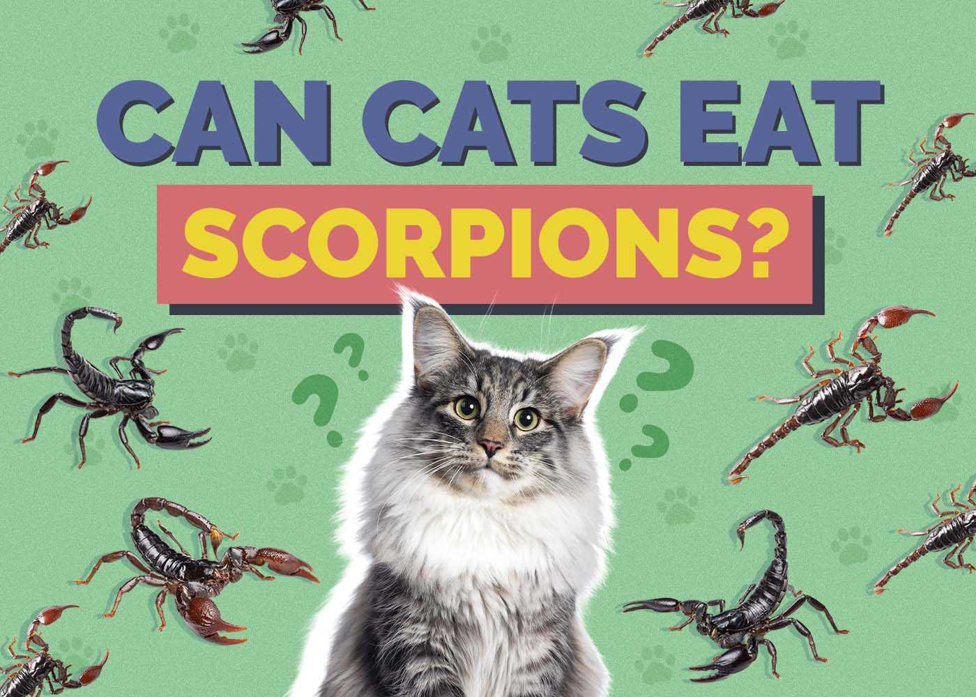 Understanding the Venomous Threat to Felines