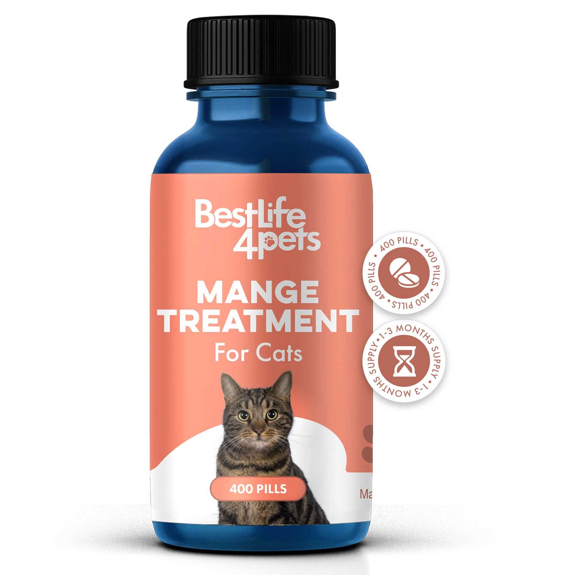 Signs and Symptoms of Skin Infestation in Felines