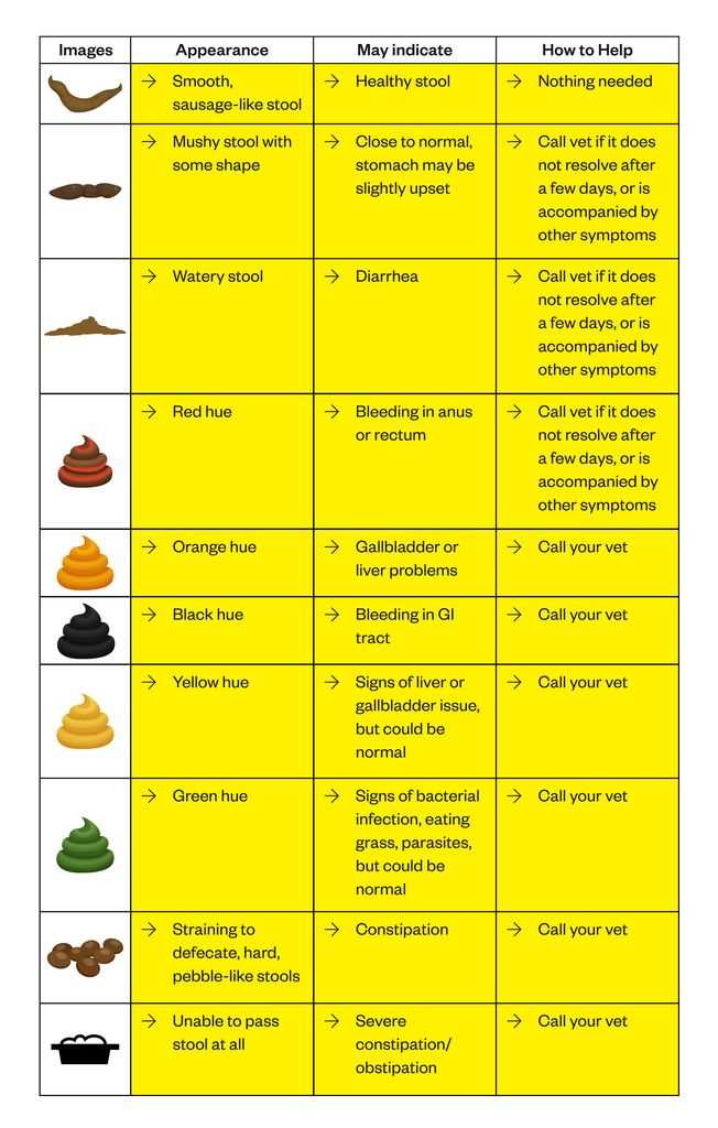 Recognizing Signs of Digestive Issues