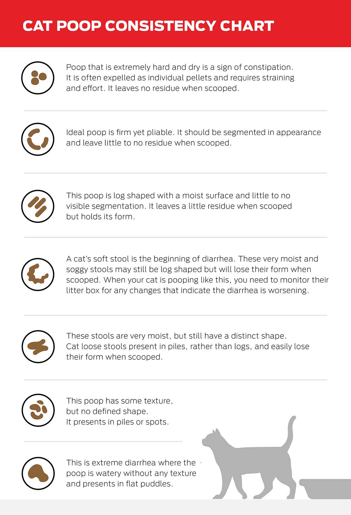 How Overfeeding Affects a Cat's Gut Health
