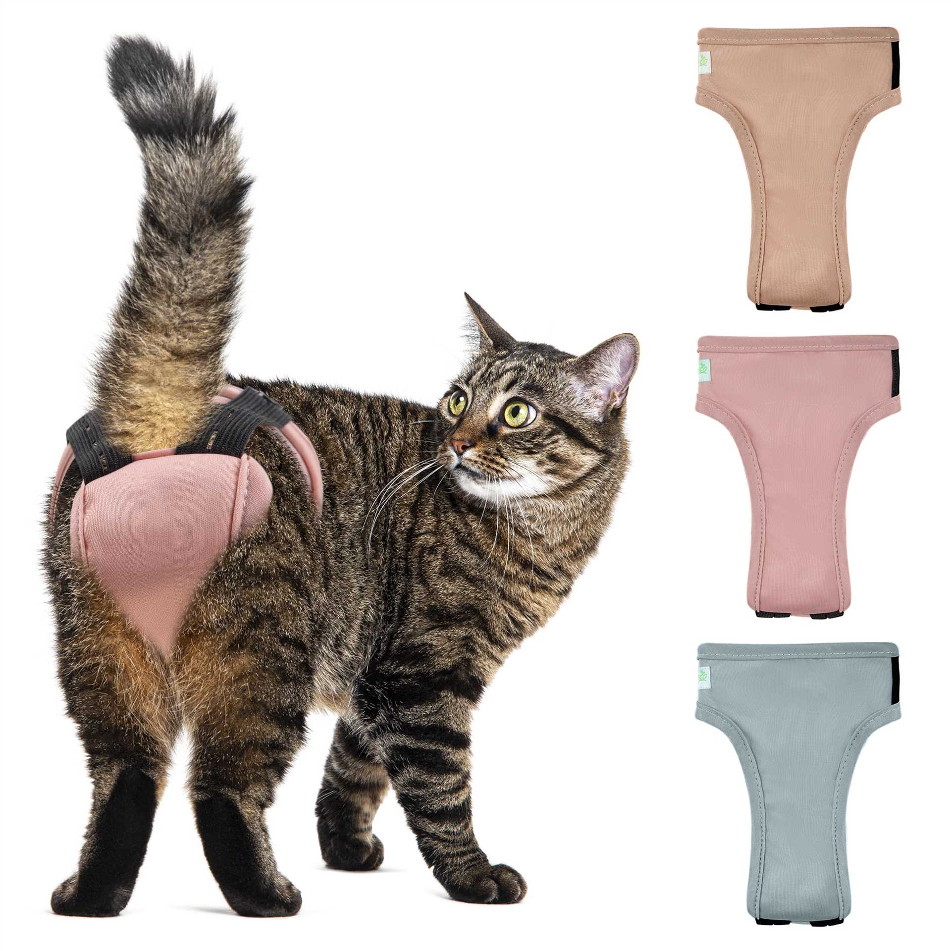 How to Train Your Feline Friend to Use a Diaper