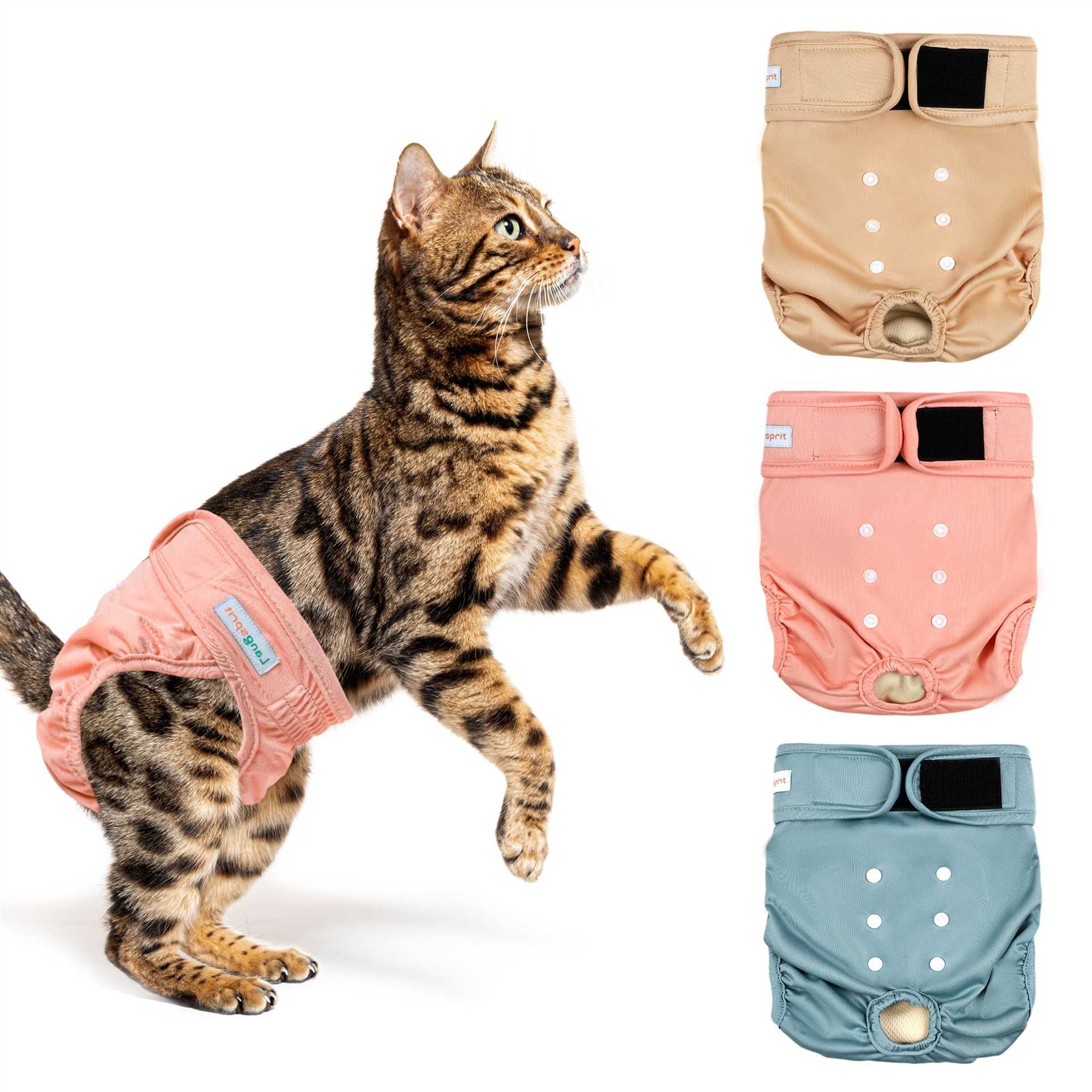Cleaning and Maintaining Feline Hygiene Garments