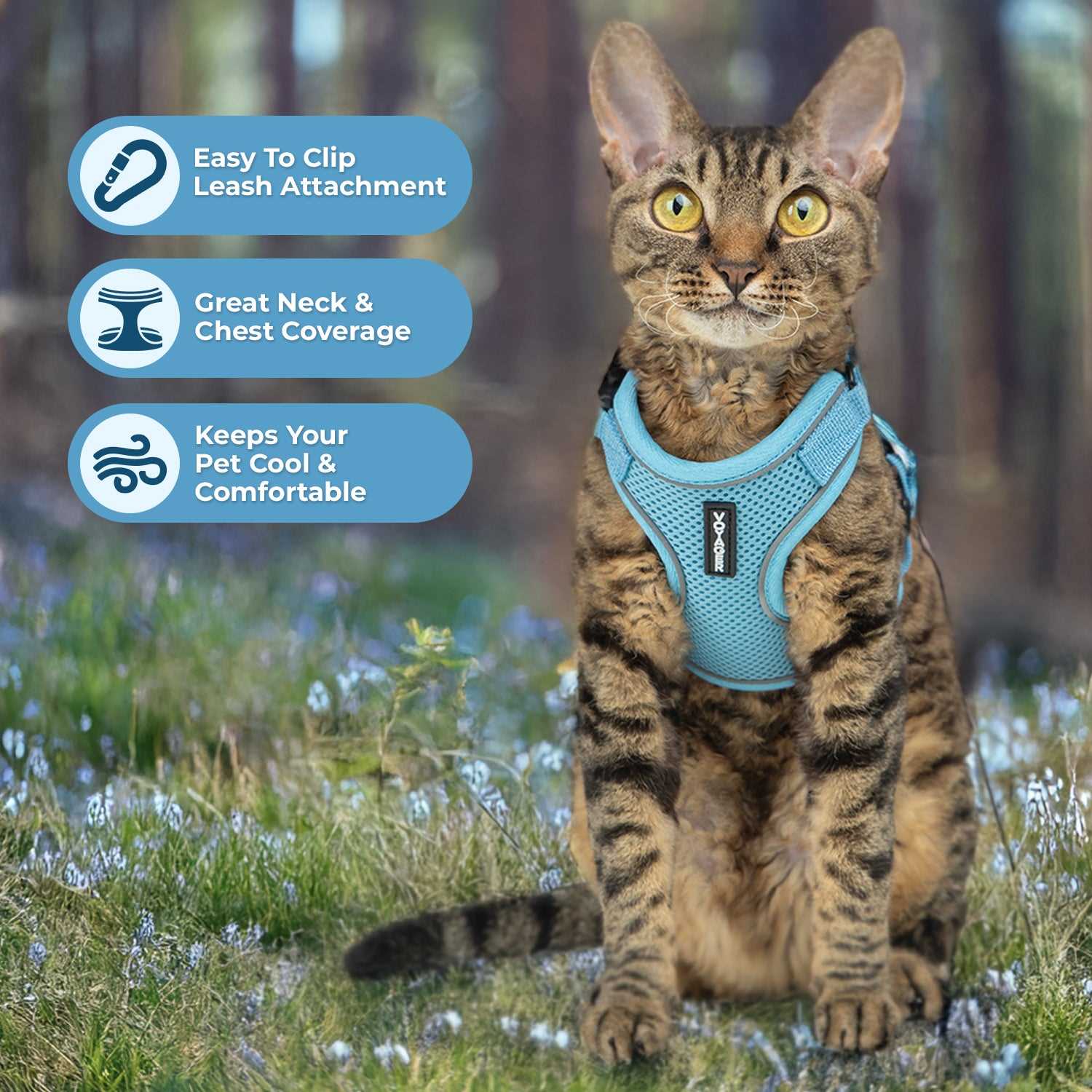 Can Cats Use Canine Gear?