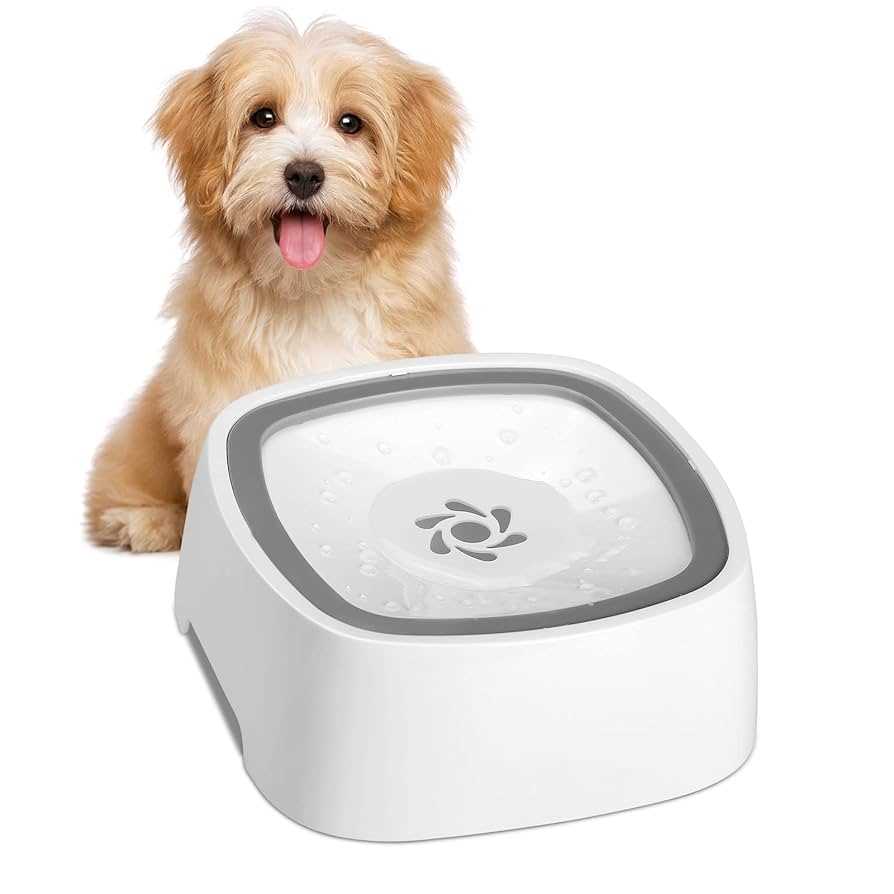 Behavioral Considerations for Dogs and Cats