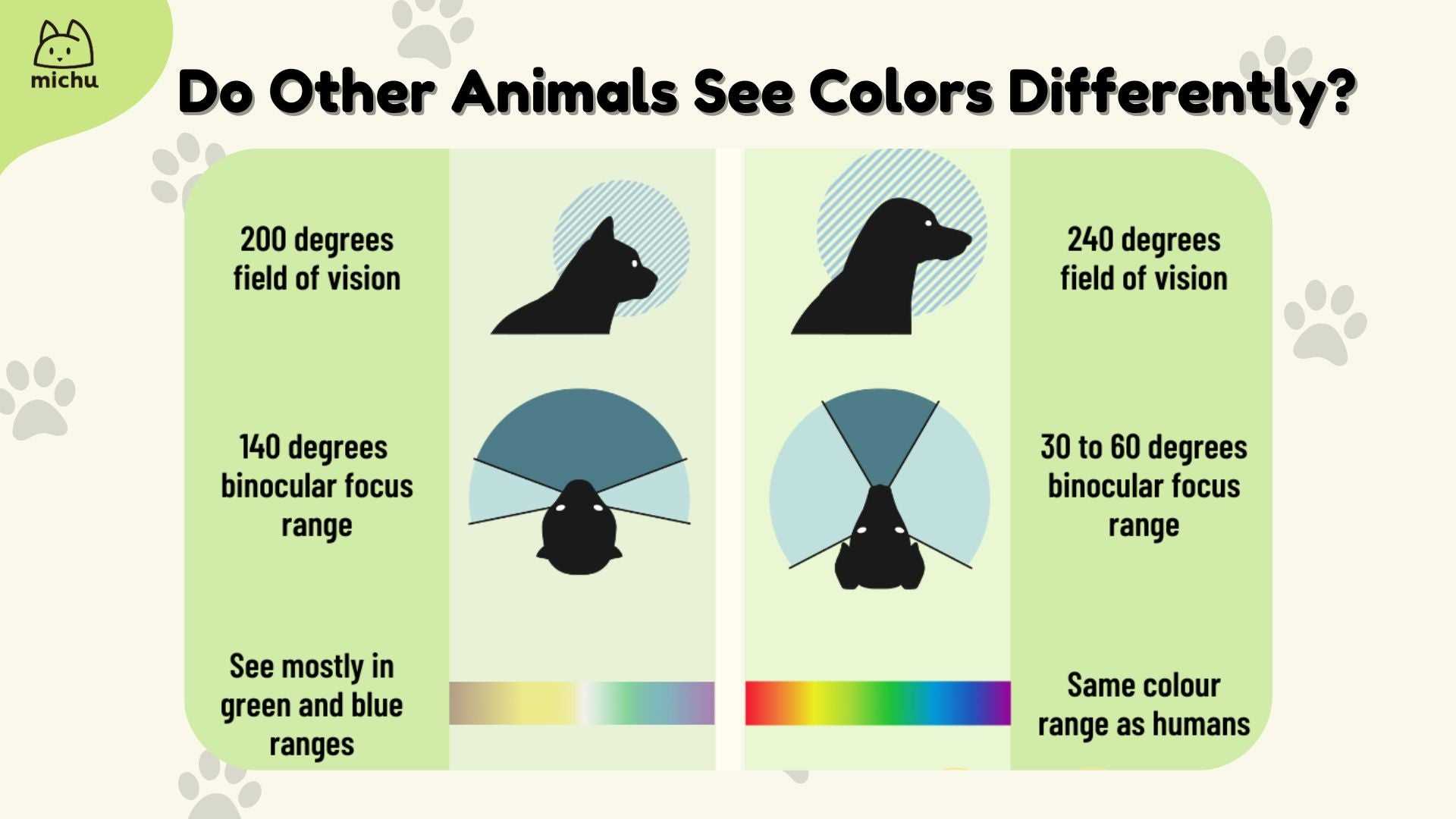 The Impact of Color on Play and Interaction