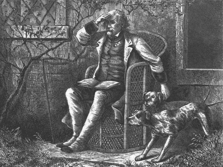 Signs Your Pet Might Be Reacting to a Ghostly Presence