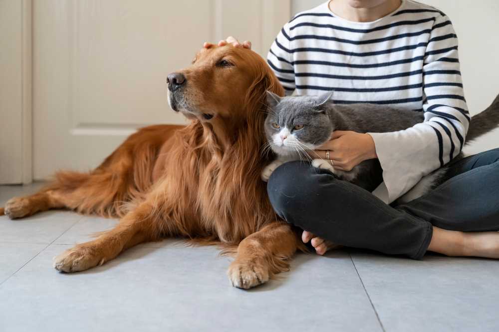 Prevention and Care Tips
