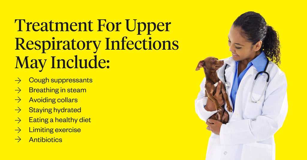 Identifying Symptoms and Treatment Options for Affected Dogs