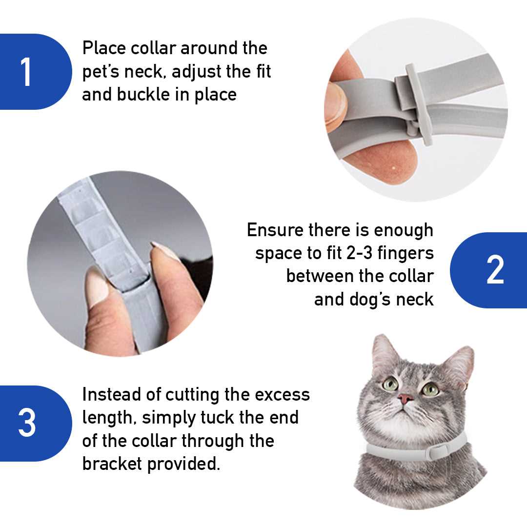 How to Identify Safe Treatment Options for Canines