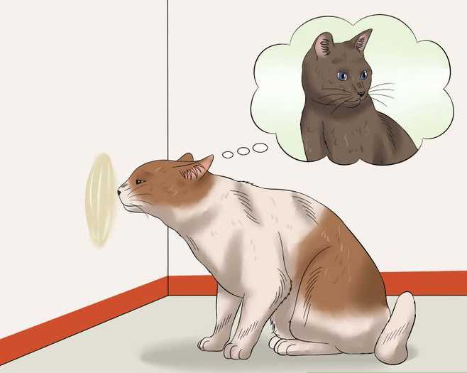 Behavioral Patterns