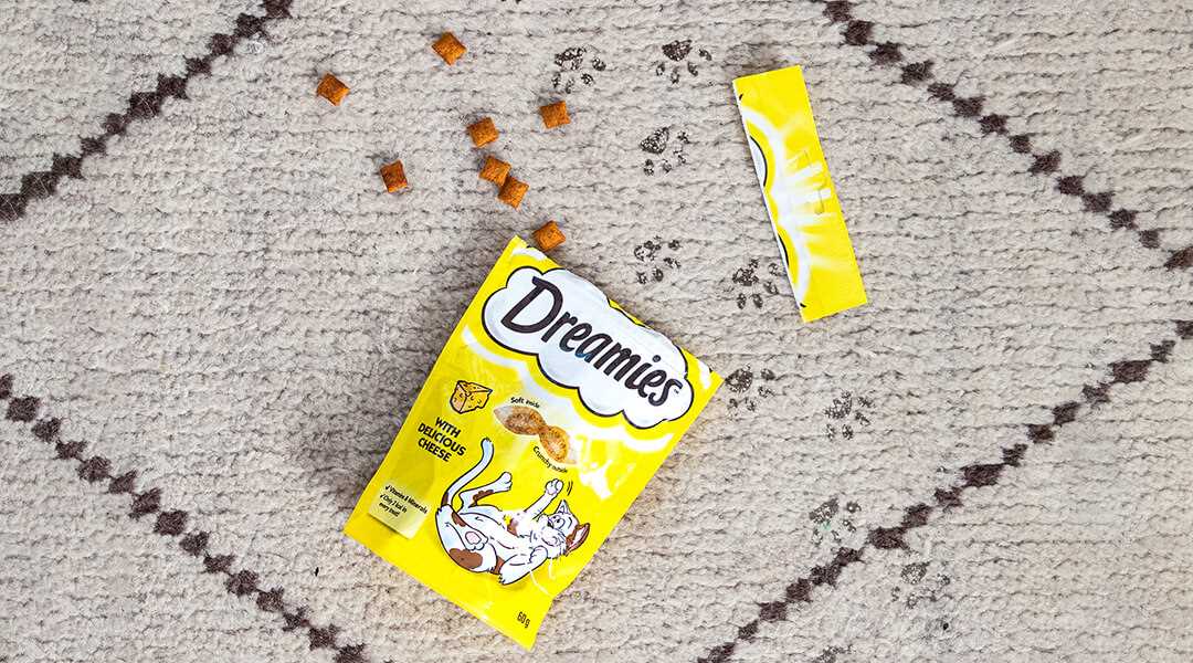 Consulting Your Veterinarian About Snacks