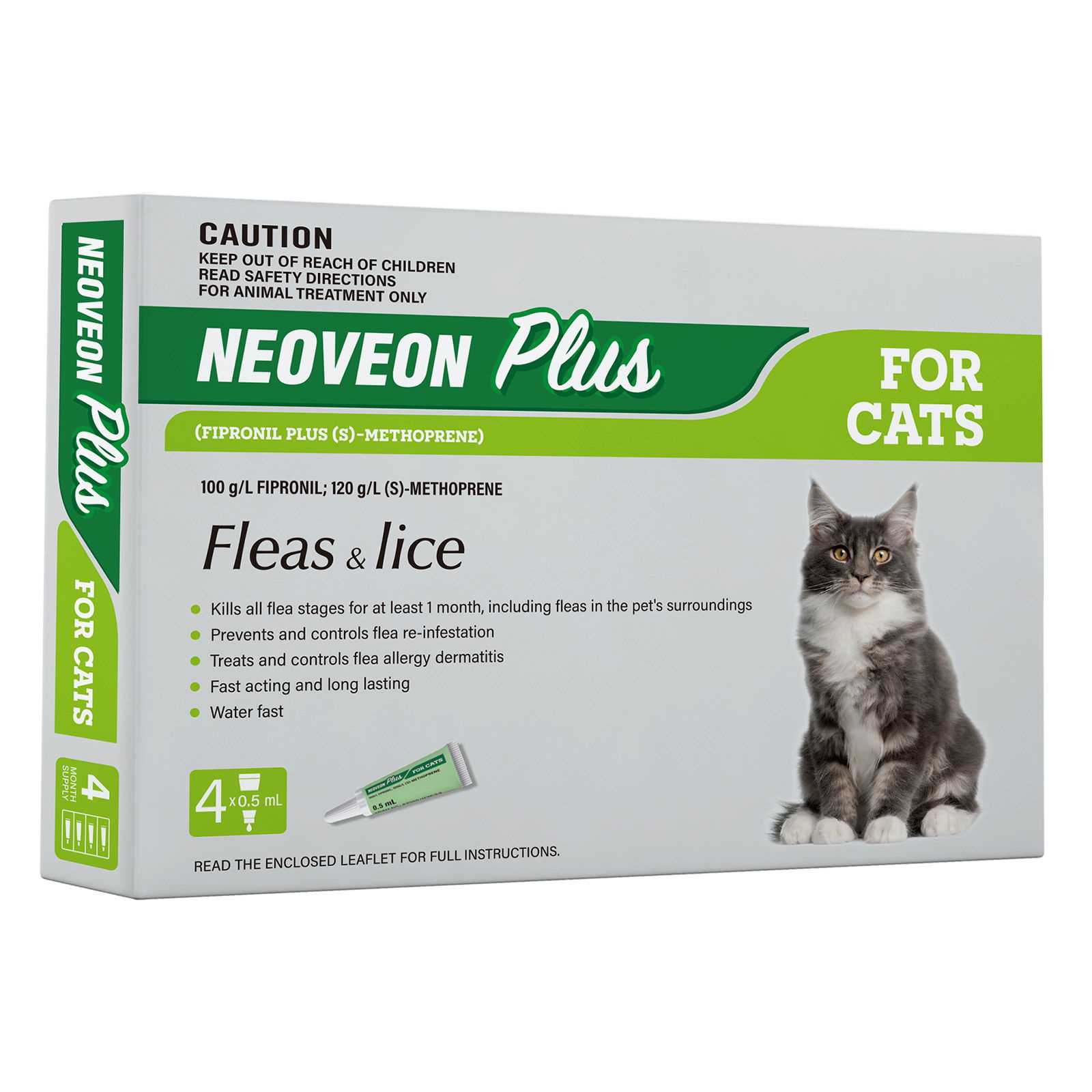 Preventative Measures to Avoid Future Infestations