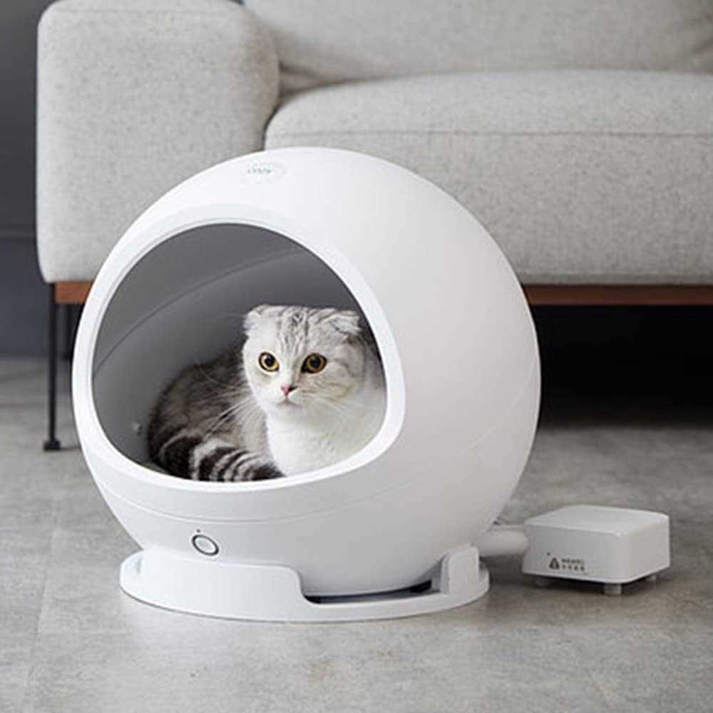 Potential Risks of Cooling Units for Felines
