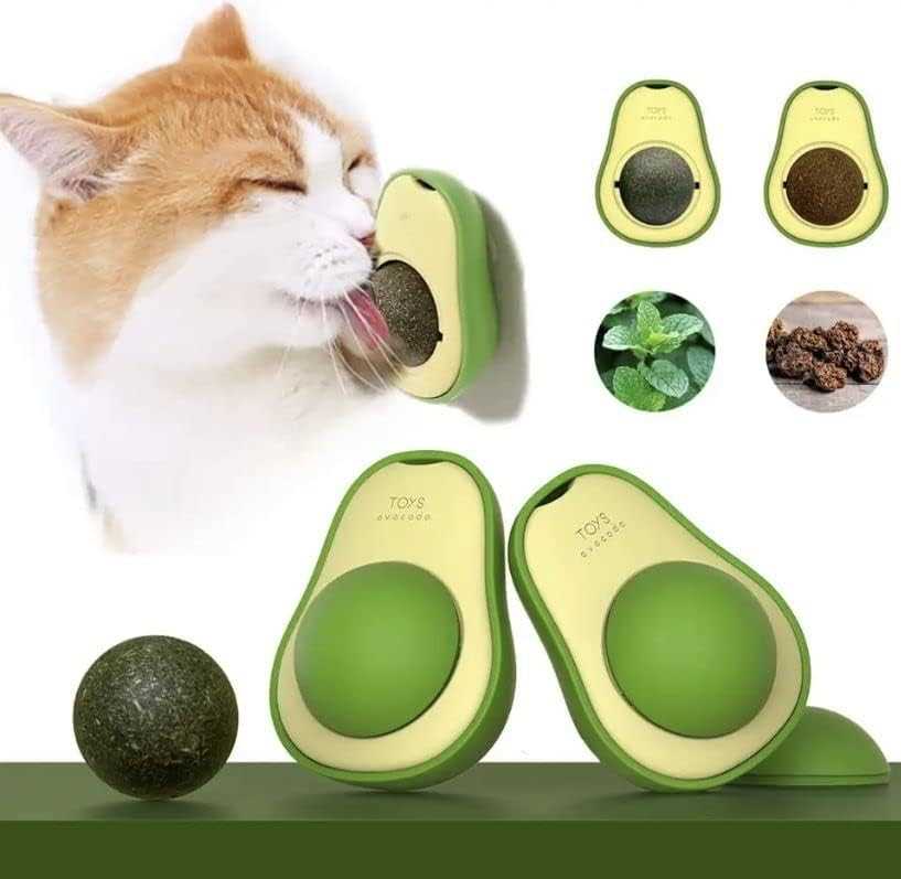 Common Misconceptions About Felines and Avocado