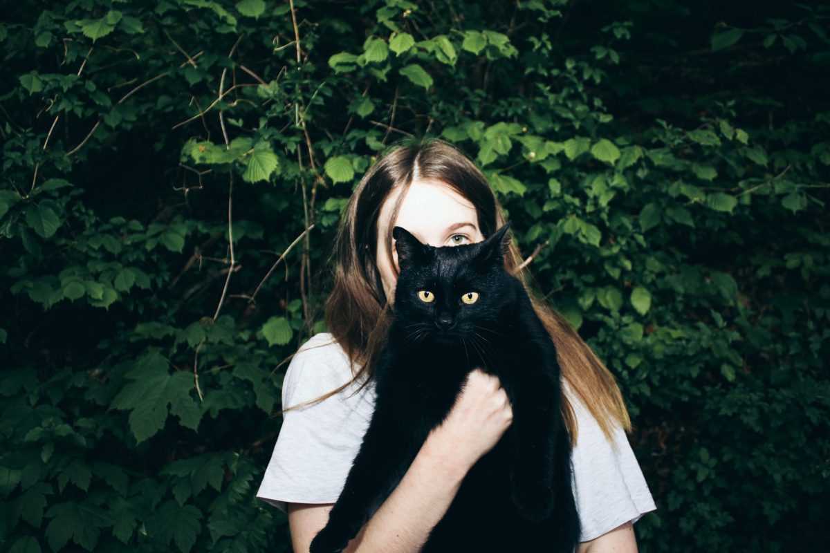 Common Reactions of Felines When Embraced