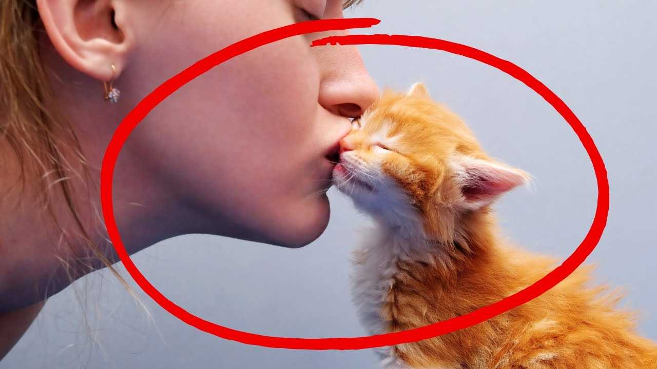 Alternative Expressions of Affection