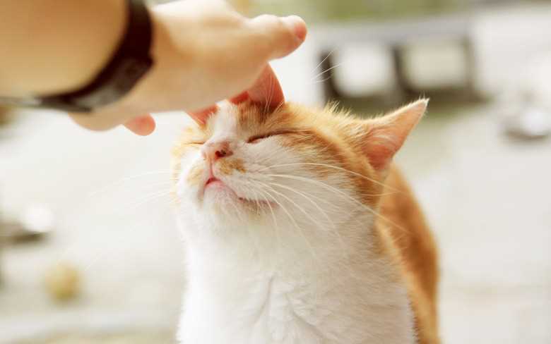 How to Approach