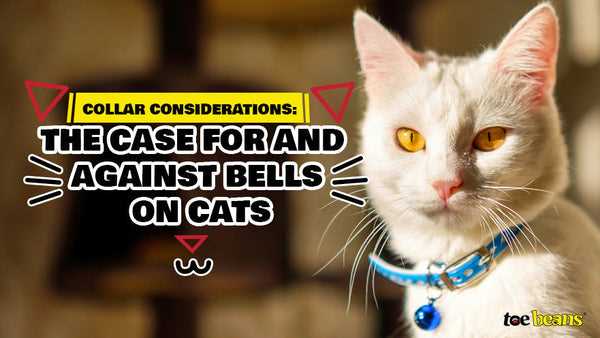 Do Cats Enjoy Wearing Jingle Accessories?