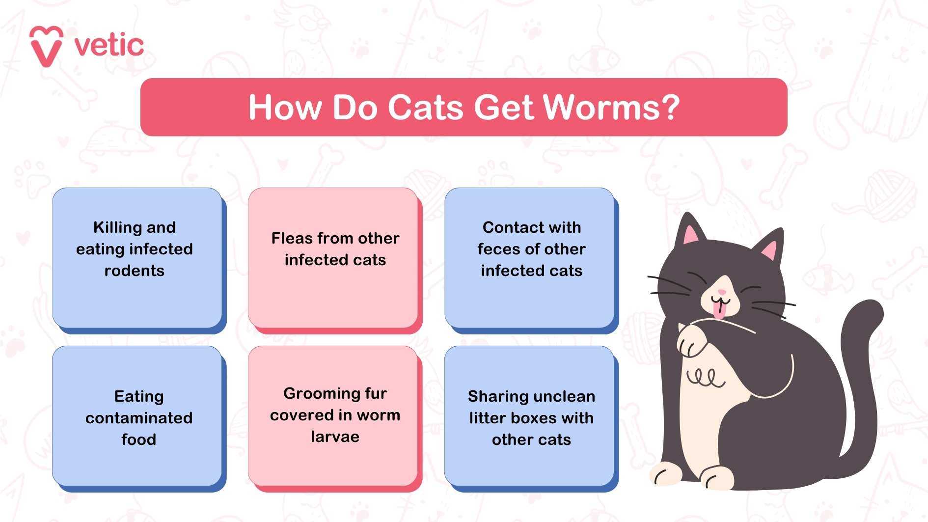 When to Consult a Veterinarian After Deworming Treatment