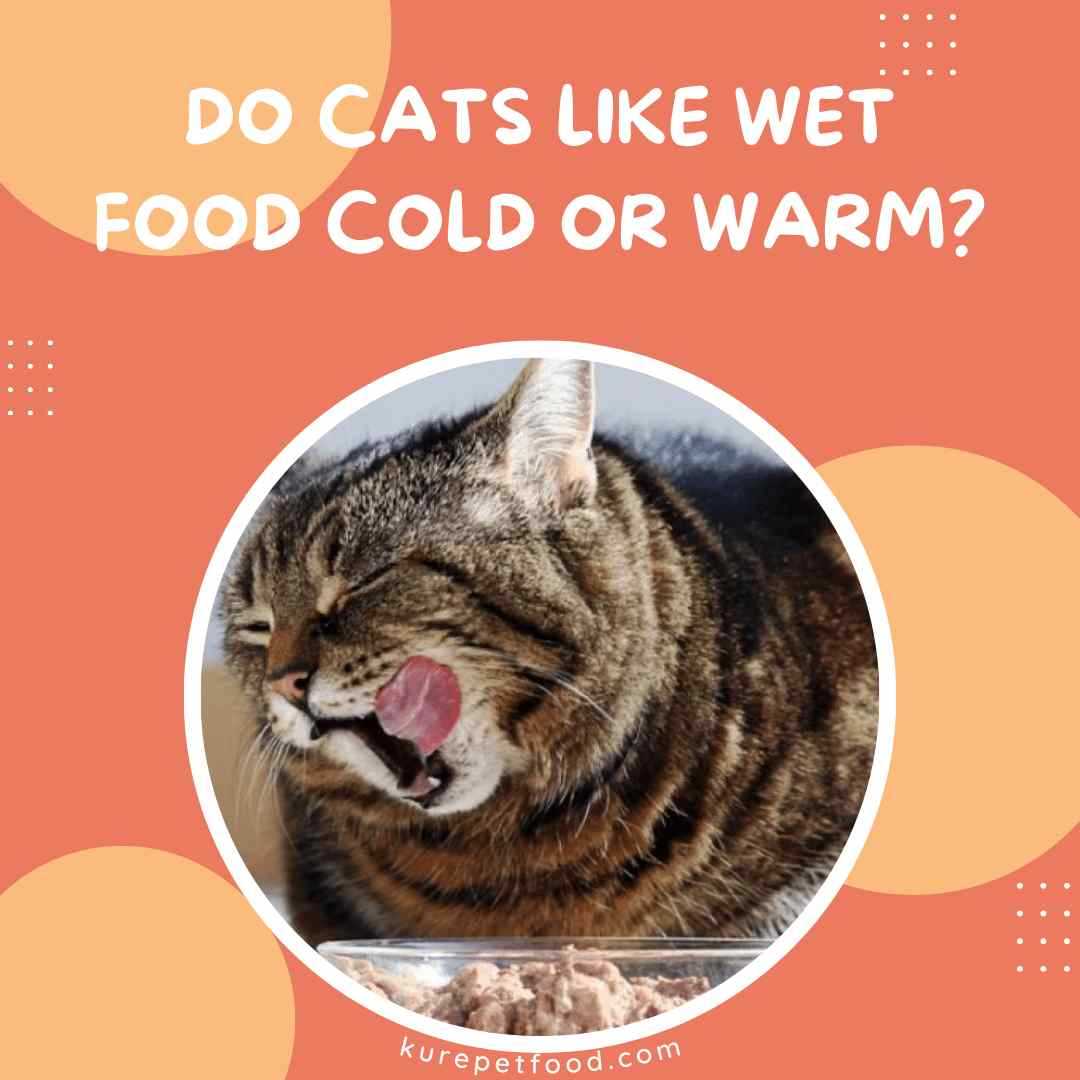 Identifying Signs of Temperature Preference in Cats