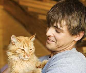 Understanding Cat Behavior Toward Male Owners
