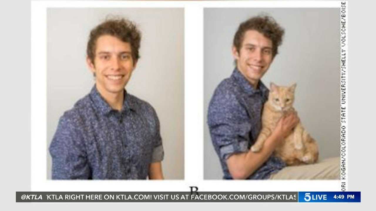 How to Bond with Your Cat as a Male Owner