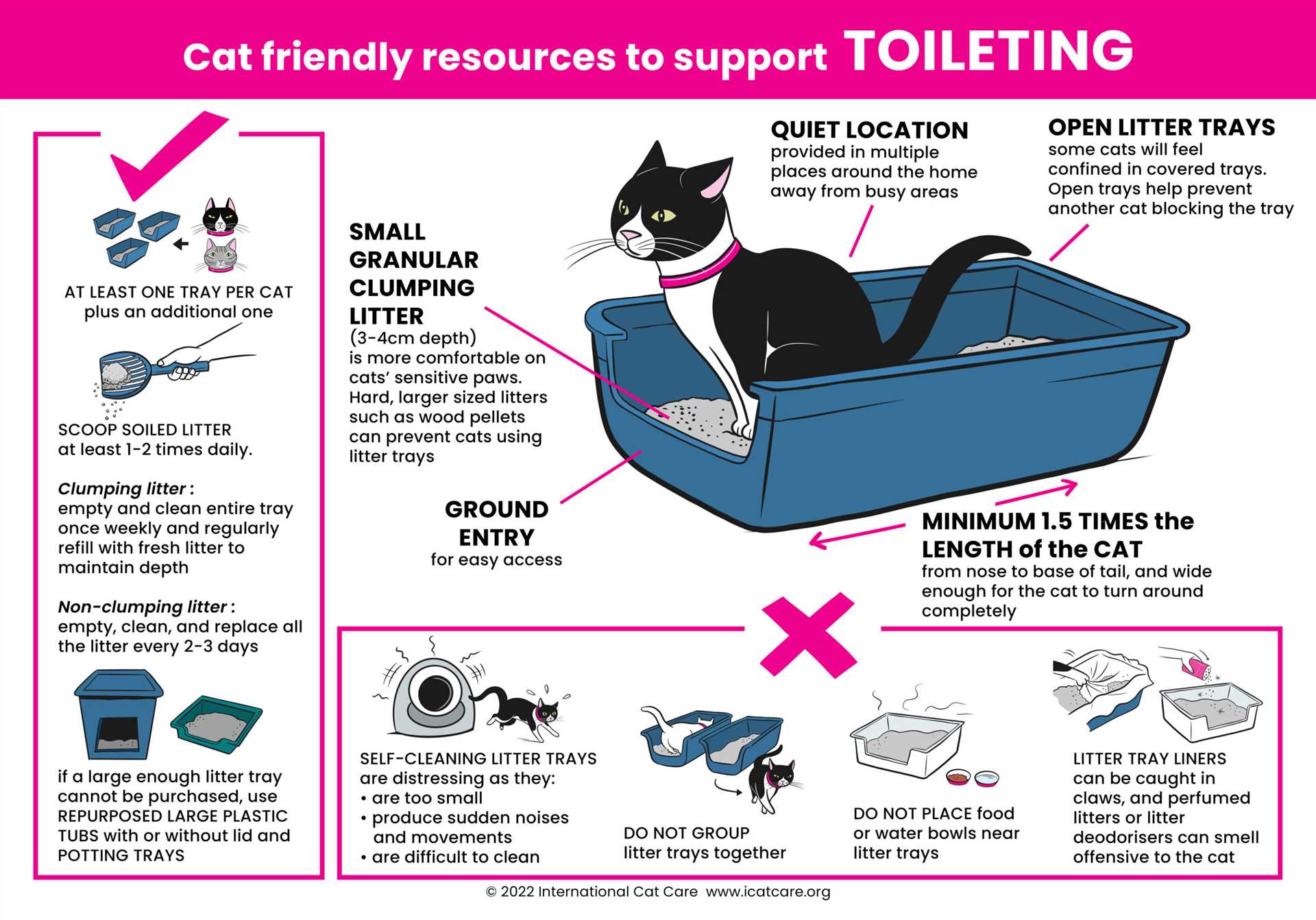 Impact of Litter Box Type on Cat Health and Hygiene