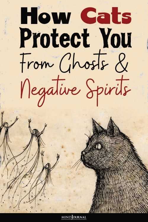 Do Cats Protect You from Spirits