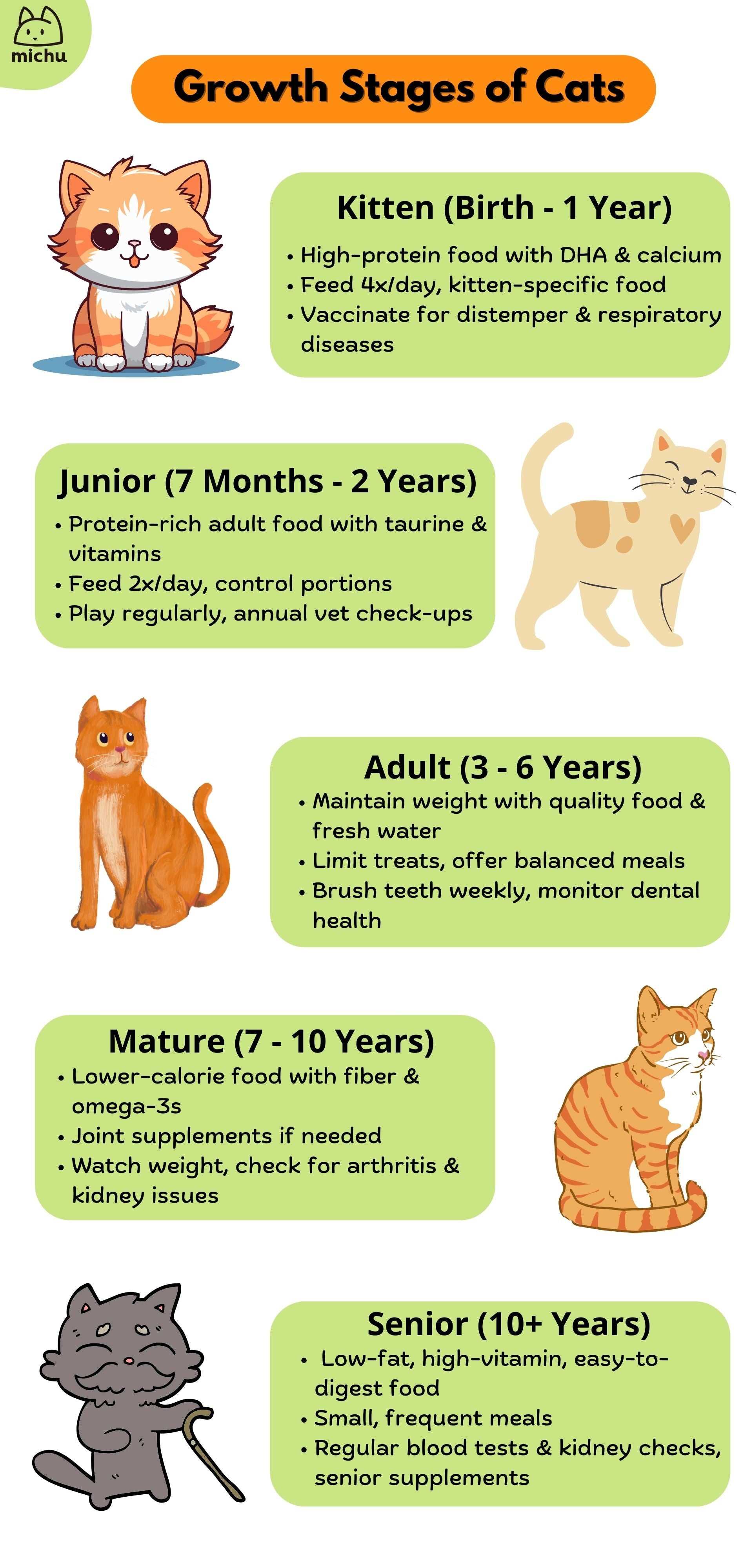 Behavioral Signs of Recognition in Adult Felines