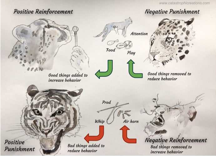Examples of Unpleasant Stimuli