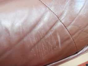 Tips to Protect Your Furniture from Cat Scratching