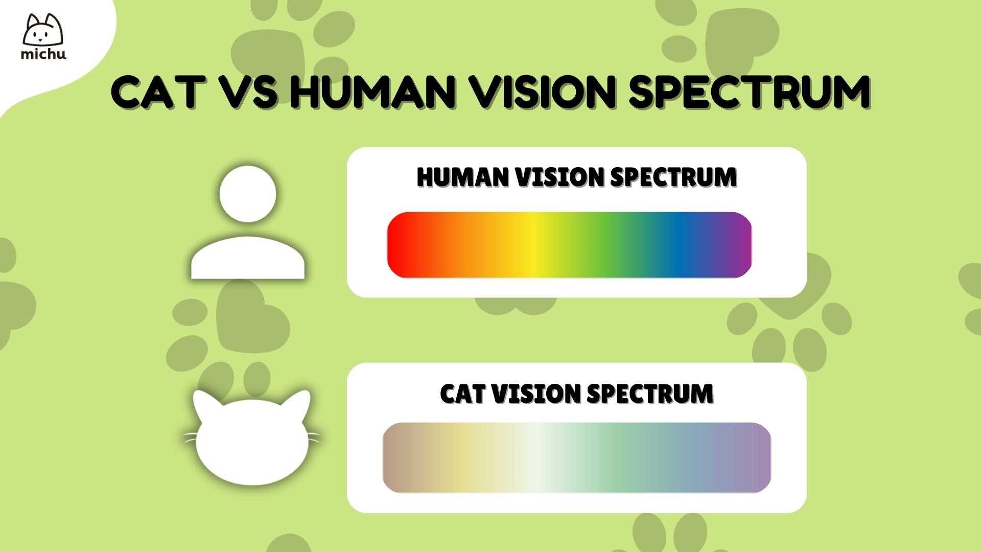 Color Perception in My Daily Life