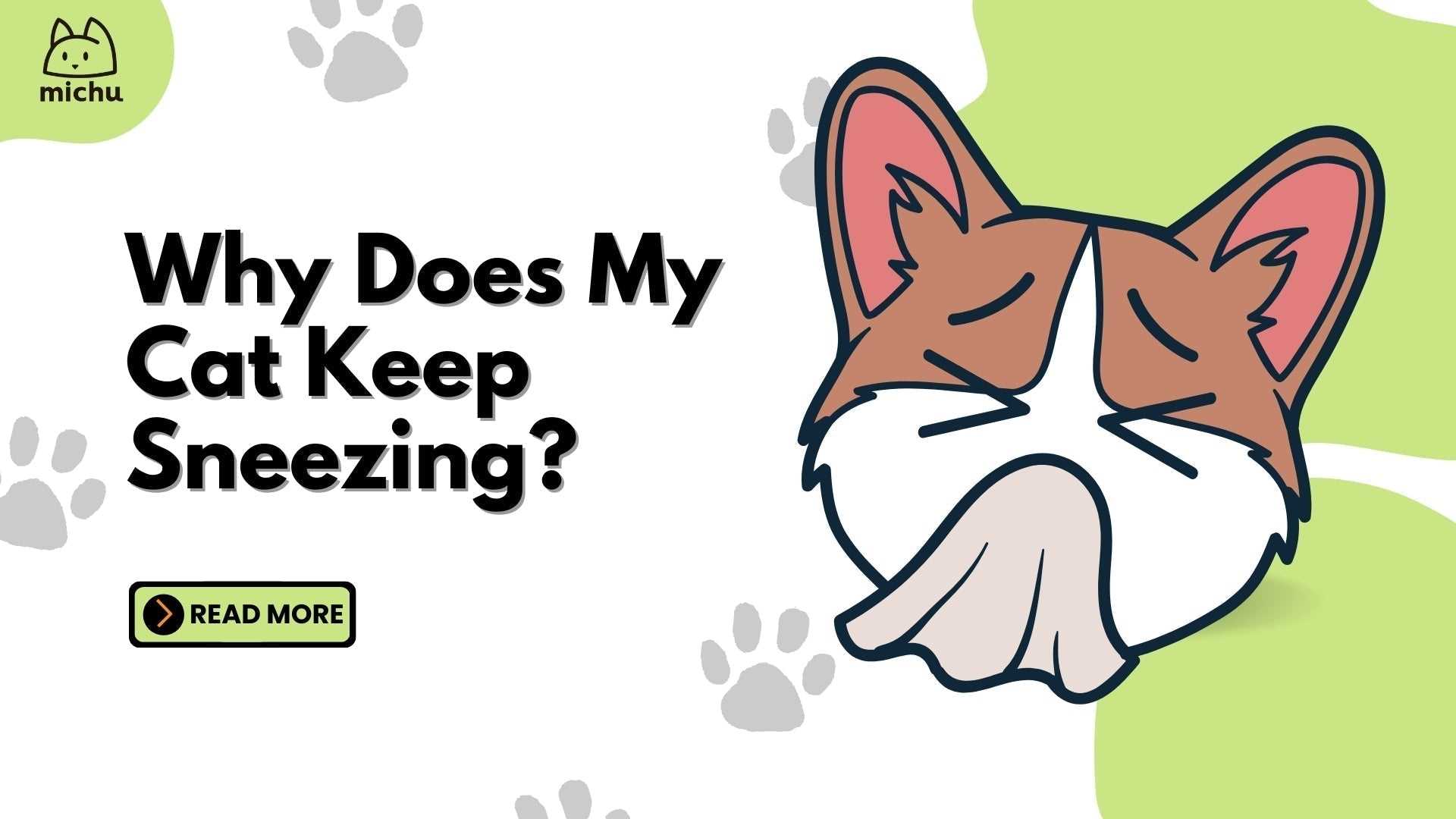 Do Cats Sneeze When Stressed