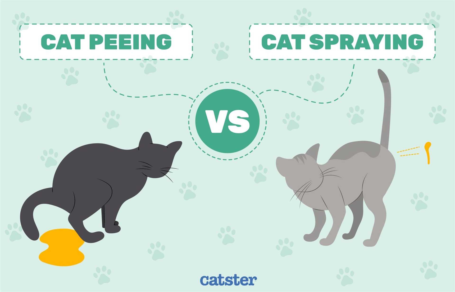 If marking persists, consulting a veterinarian can help identify underlying issues. They might suggest behavioral training or medications to address the problem. Each case is unique, and understanding individual needs is essential.