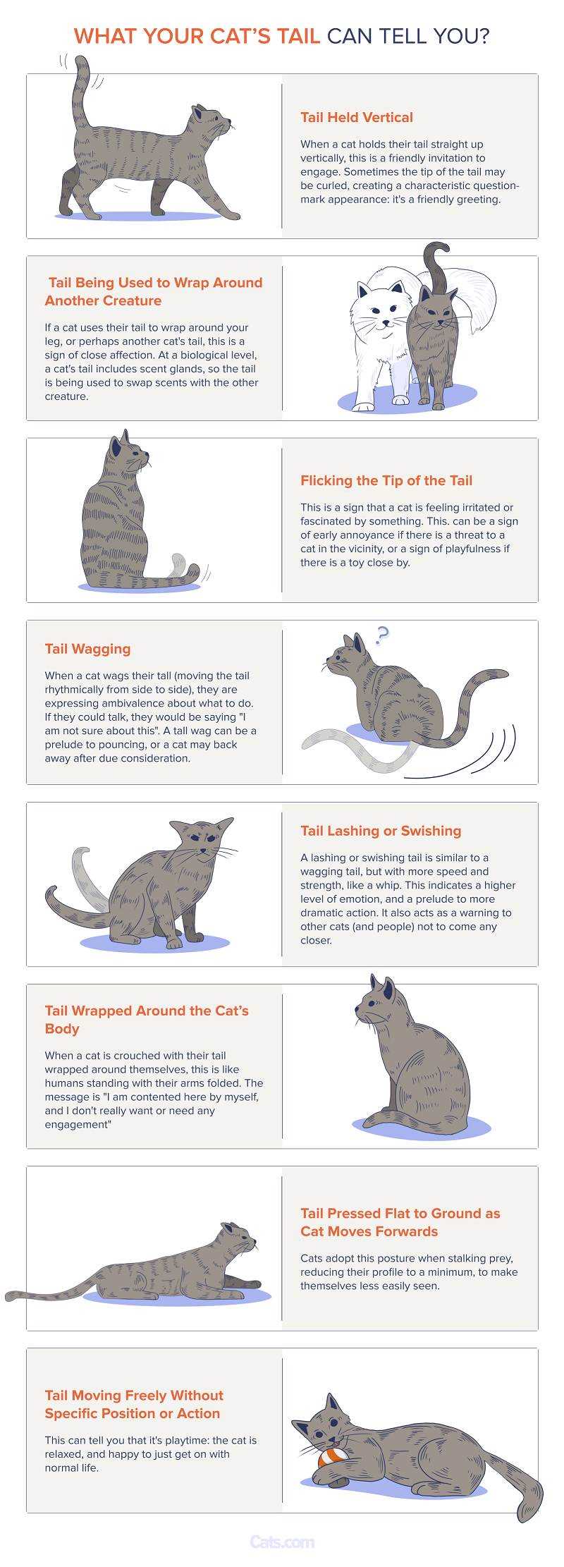 Recognizing Contextual Clues
