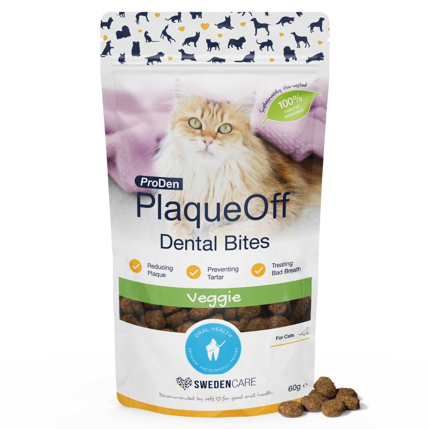 Tips for Introducing Dental Snacks to Your Feline Friend