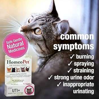 Incorporate Wet Food