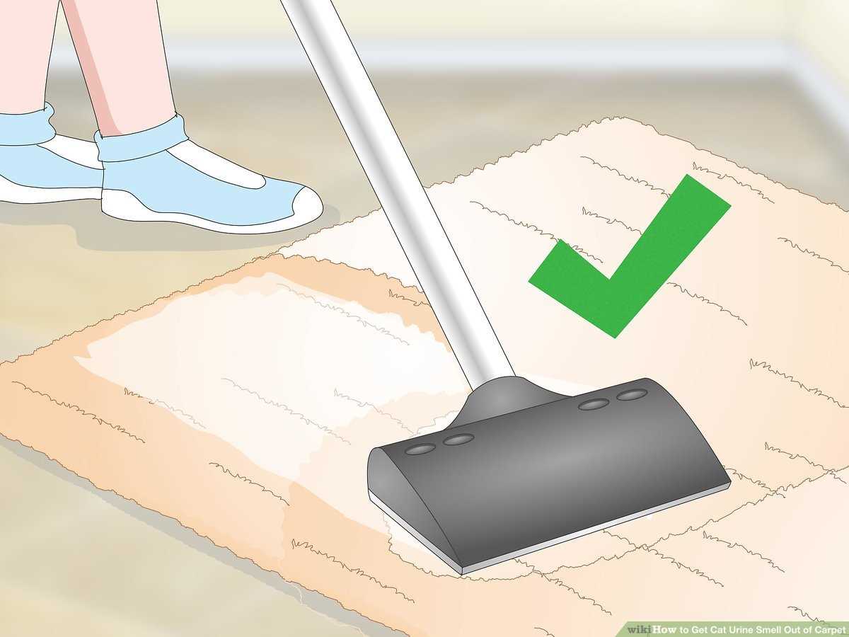 Preventing Future Accidents on the Carpet