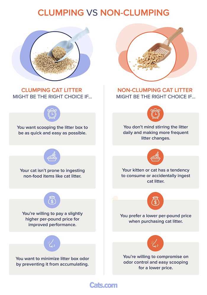 Cleaning Tips for Non-Clumping Materials