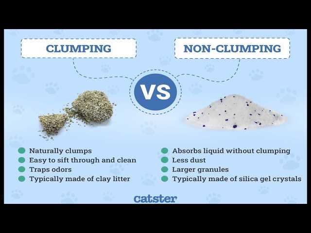 Preventing Odors and Bacteria Growth